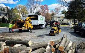 Best Residential Tree Removal  in Lyford, TX